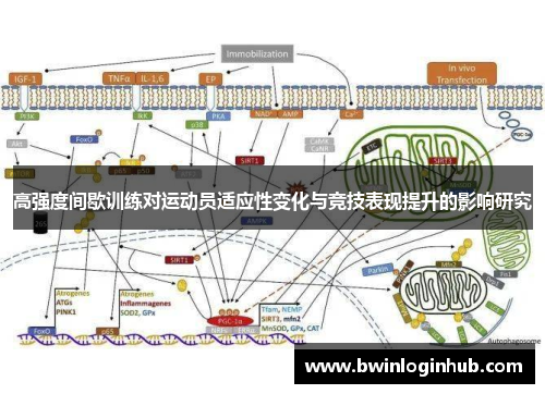 高强度间歇训练对运动员适应性变化与竞技表现提升的影响研究